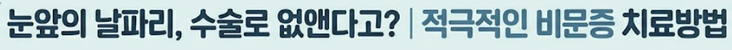 비문증 치료방법