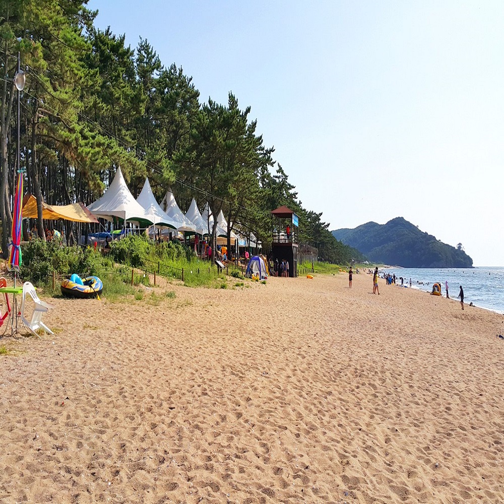 고사포 해수욕장 바로가기