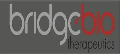 브릿지바이오테라퓨틱스