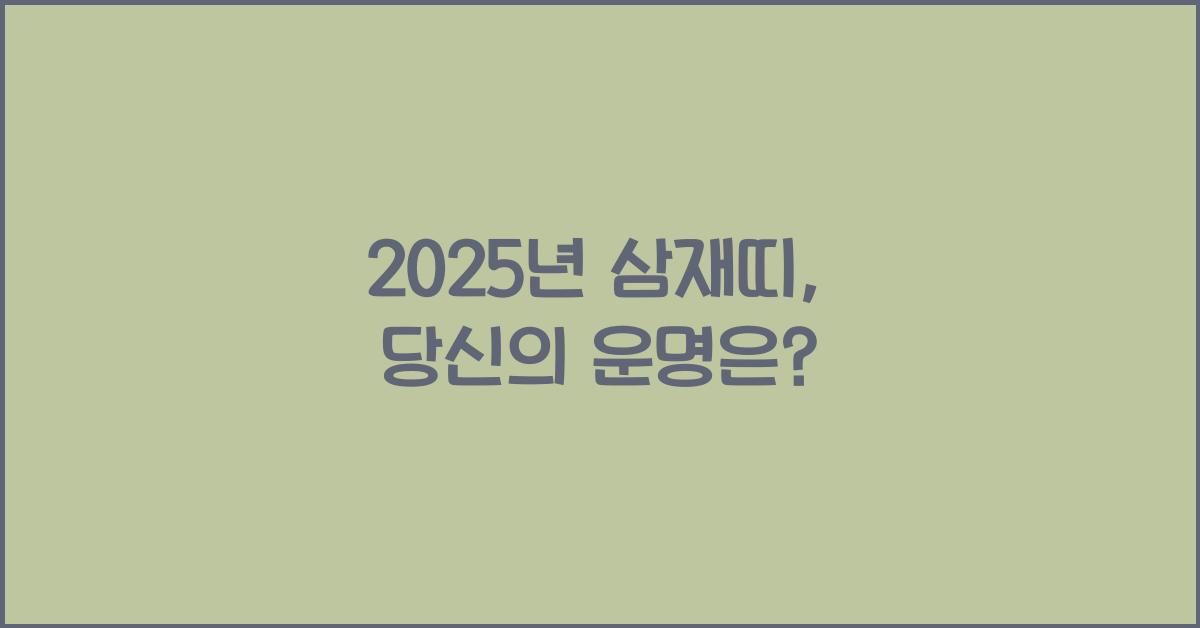 2025년 삼재띠