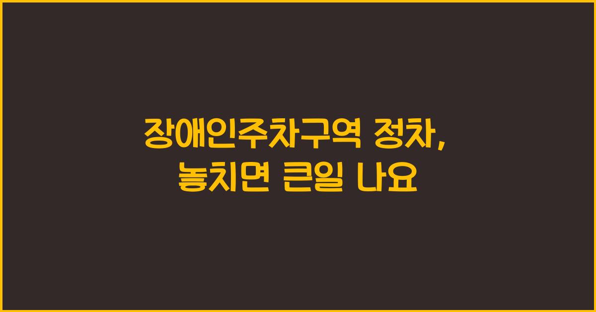 장애인주차구역 정차