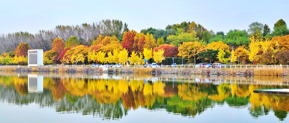 미사리 조정경기장