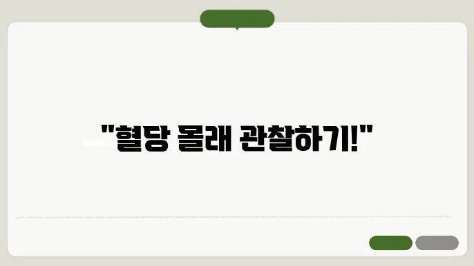 연속혈당측정기 가격 및 원리, 혈당 변화를 실시예으로?