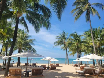 다낭 여행 준비물 환전 꿀팁 총정리 2025 최신 완벽 가이드_25