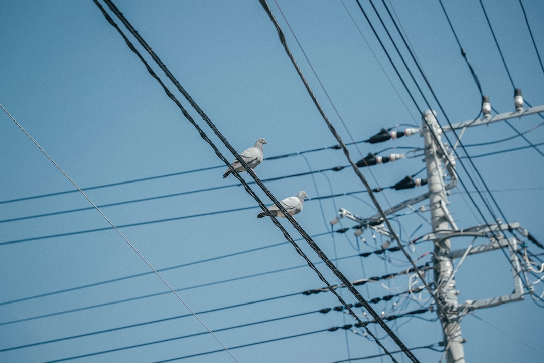 Outage