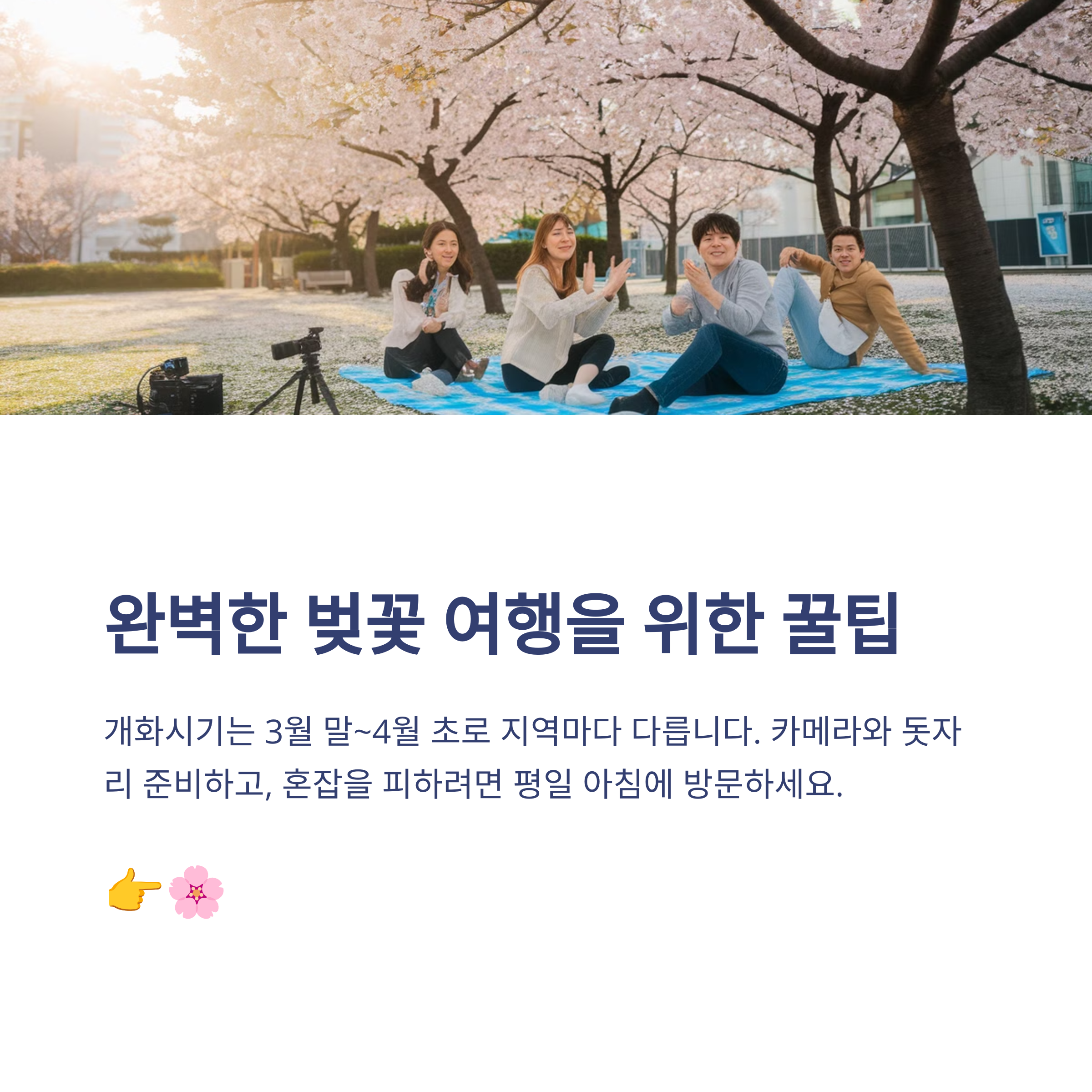 2025년 벚꽃 명소 BEST 10