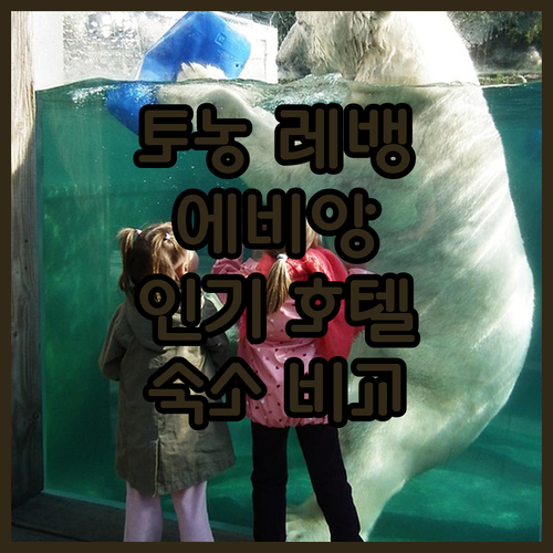 프랑스 토농 레 뱅 & 에비앙 인기 