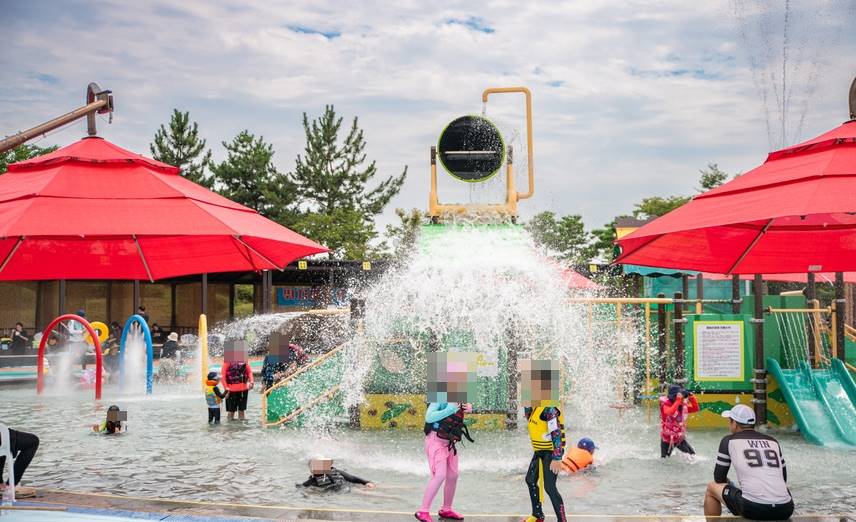 무안 연꽃 축제