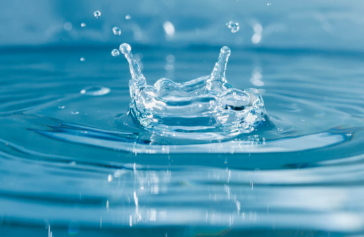 물을 보는 꿈해몽