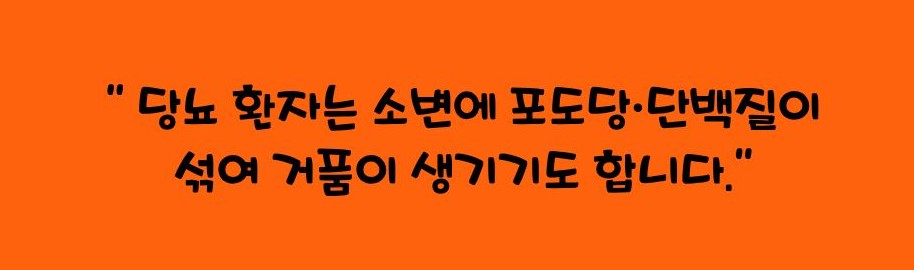 오줌에 거품