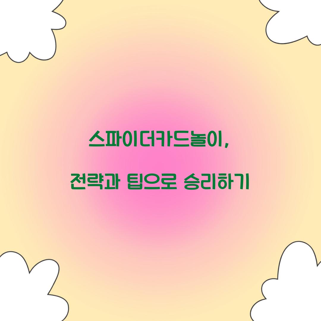 스파이더카드놀이