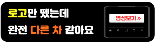 트렁크엠블럼없앴을때느낌