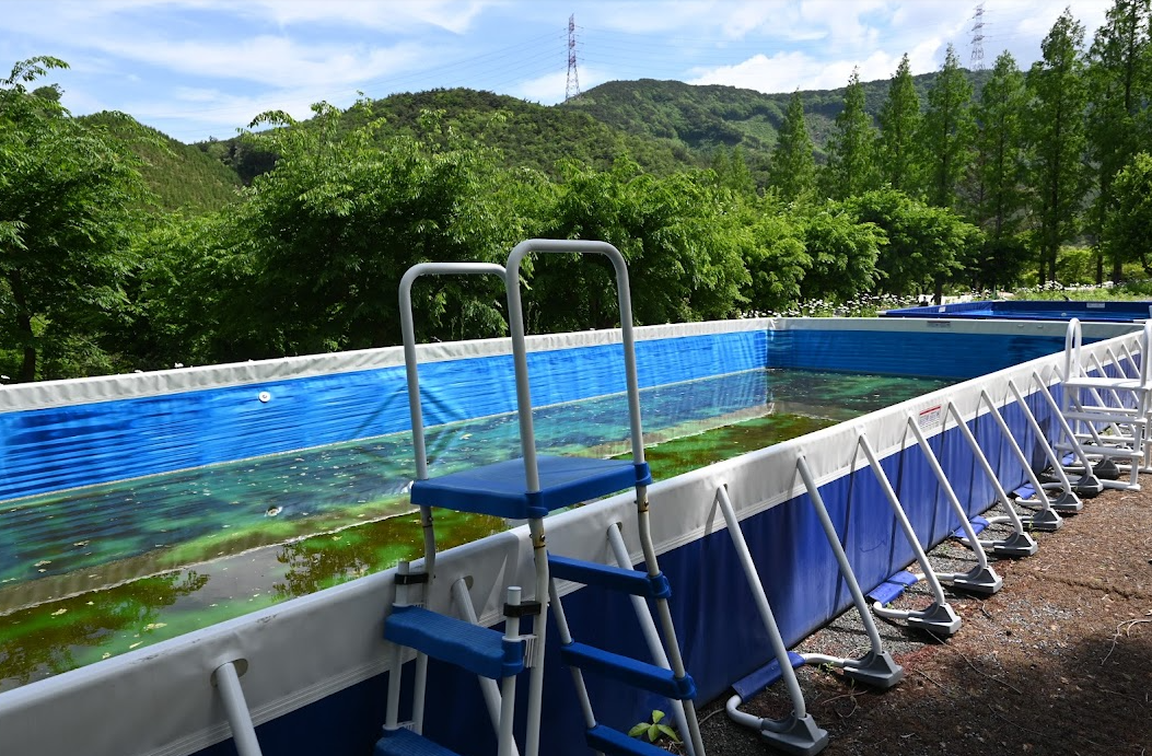 예산에 있는 대형 캠핑장 스노우라인 캠핑빌리지 2박 3일 후기 사진 24