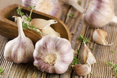 마늘과 양파