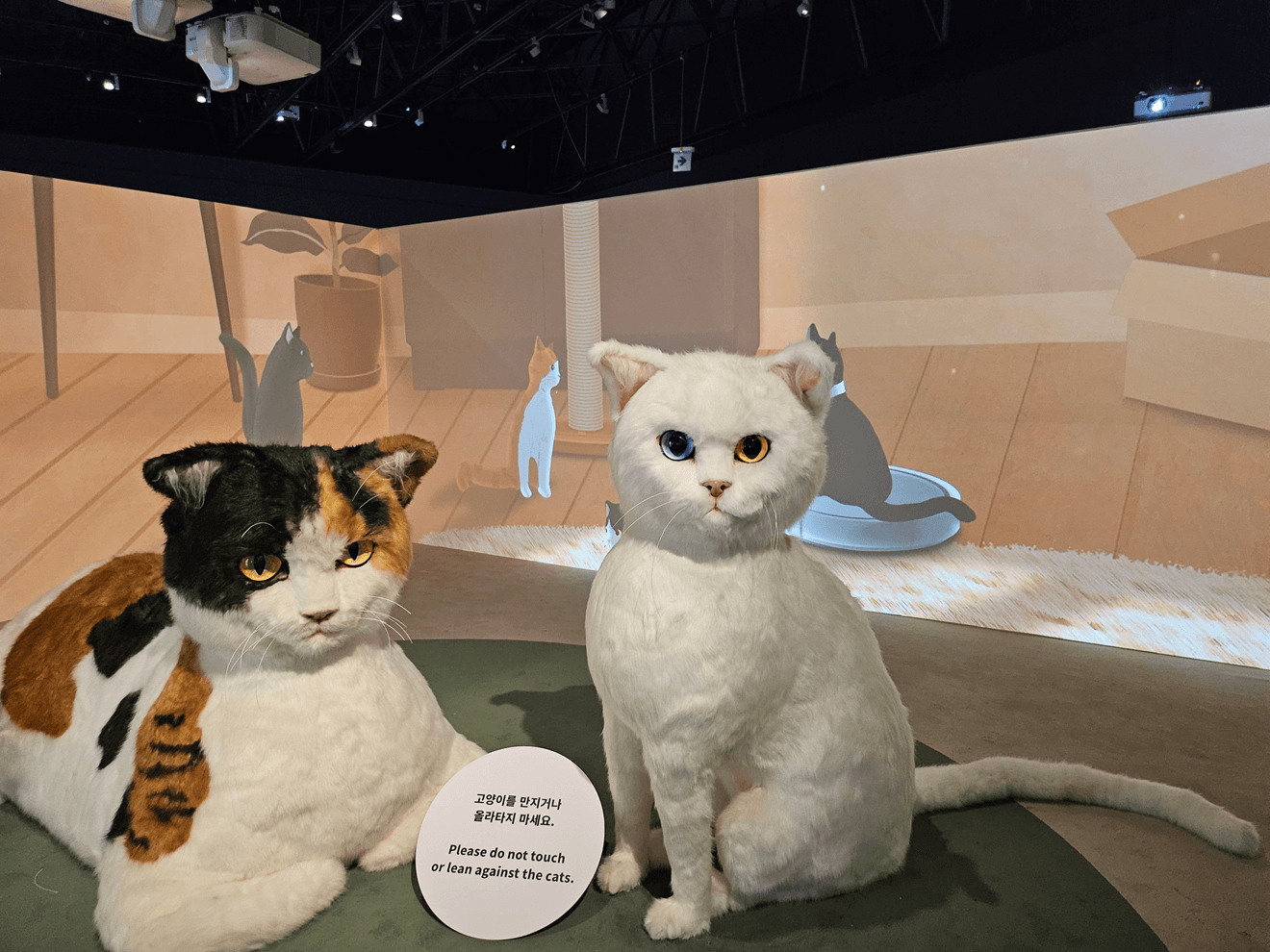 국립민속박물관, 고양이전시, 광화문전시, 종로전시, 추천전시, 어린이전시추천