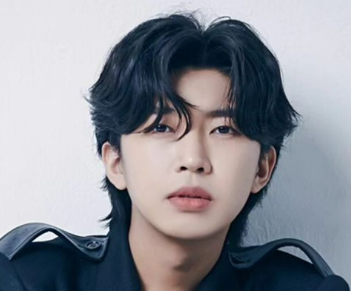 임영웅 콘서트
