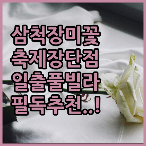 삼척 장미공원 축제 기간 장단점 비교..