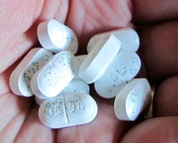 밀크시슬 영양제