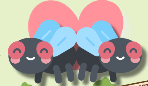 러브버그발생원인-이유