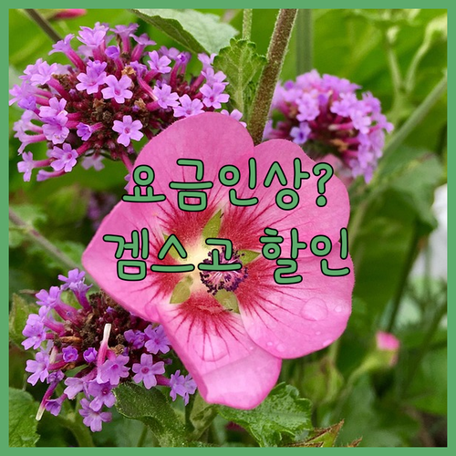 넷플릭스 요금 인상? 겜스고 할인코드..