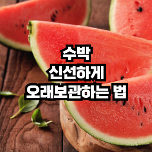 수박 신선하게 보관하는 법