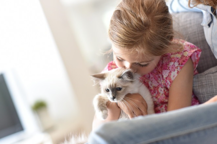 고양이와 아이의 사진.