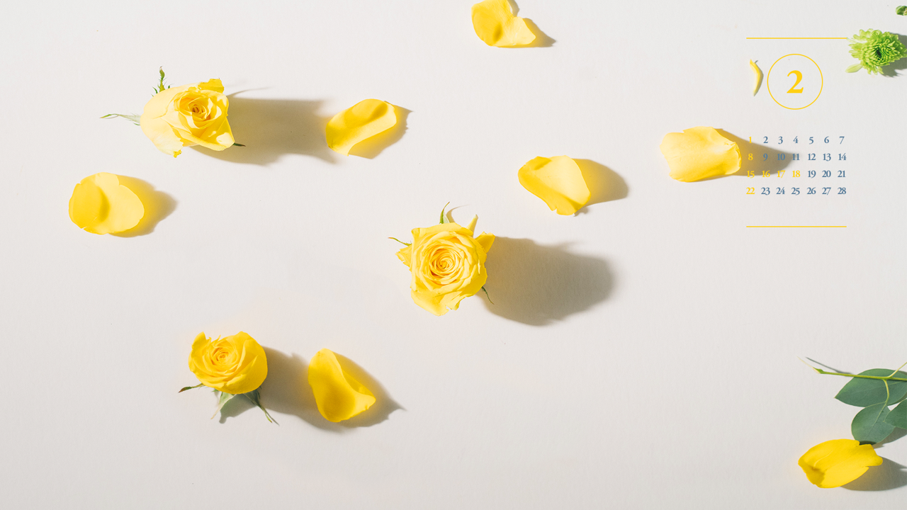 07 노란색 장미 A - 2026년2월 달력배경화면