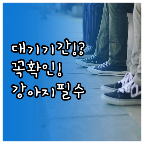 강아지 보험 가입 전 알아야 할 대기..