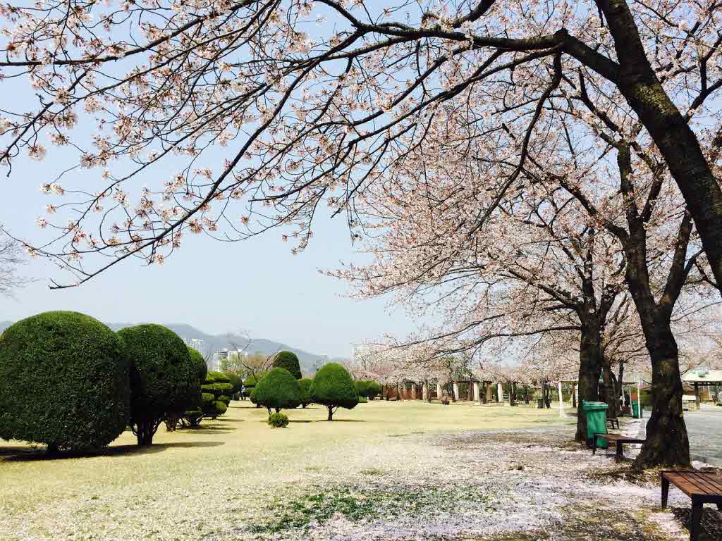 토지거래허가구역 확대에도 분당·과천 ‘신고가 행진’