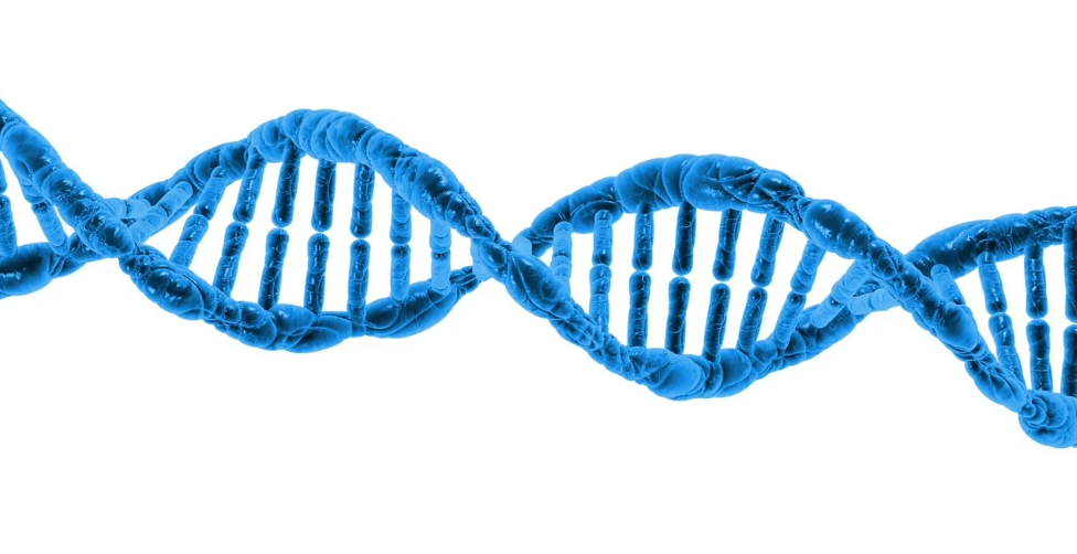 2025년 웰니스 트렌드: 바이오해킹으로 건강 최적화