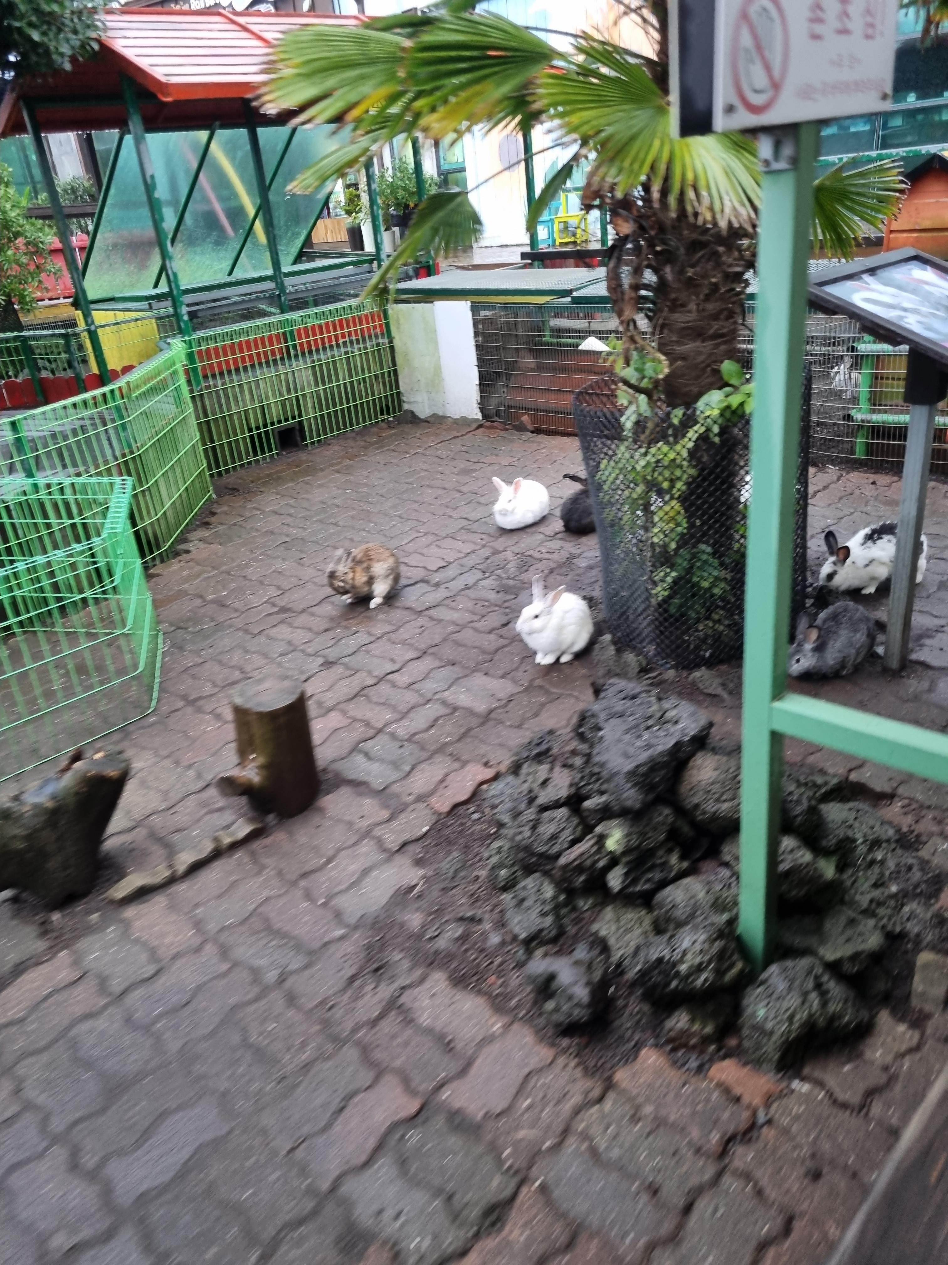 제주레일바이크