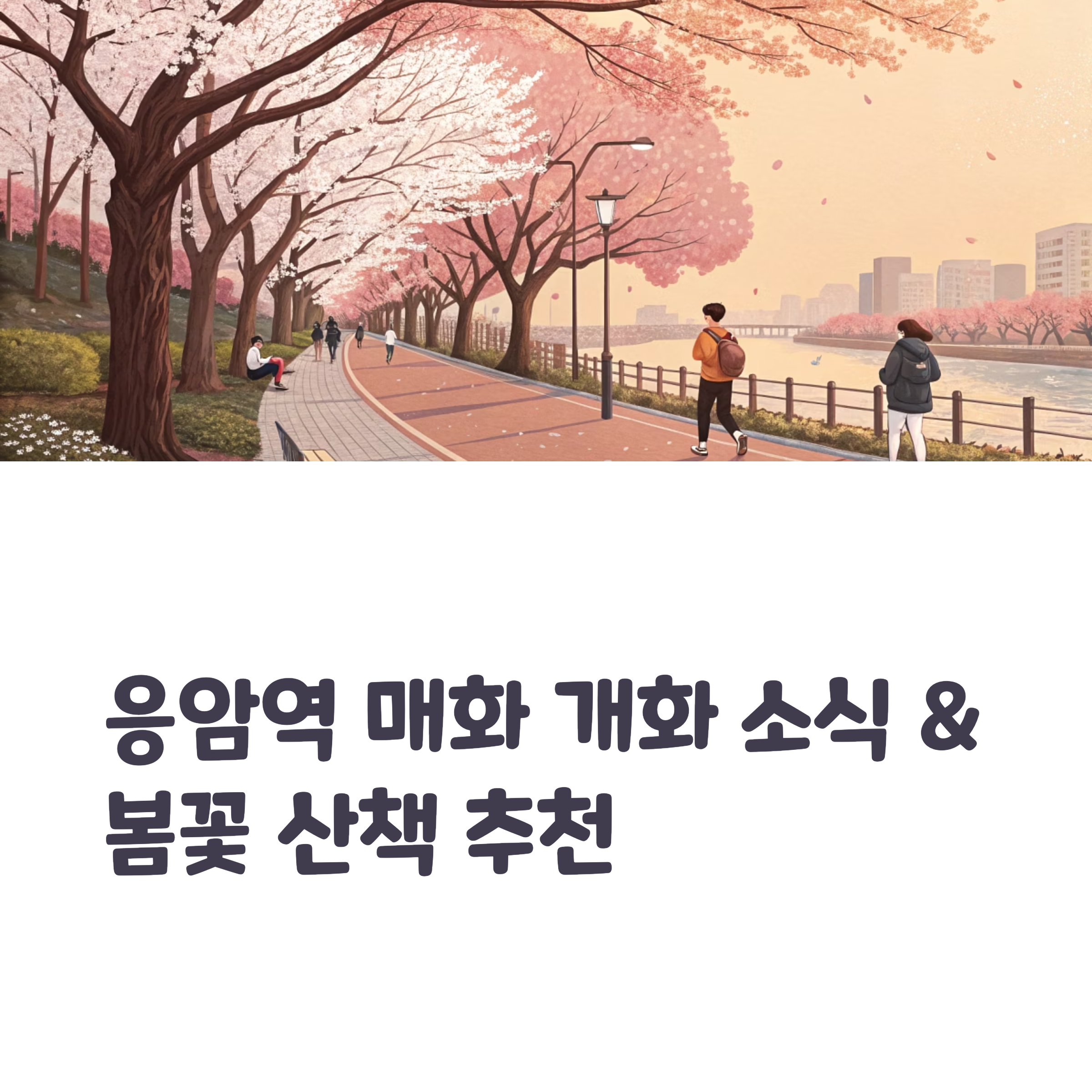 응암역 하동매실거리 매화 만개