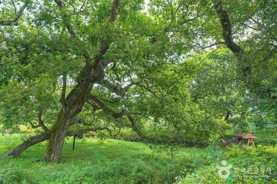 산청 가볼만한곳 베스트 10