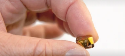 잠자는 금이빨 가격과 파는 법