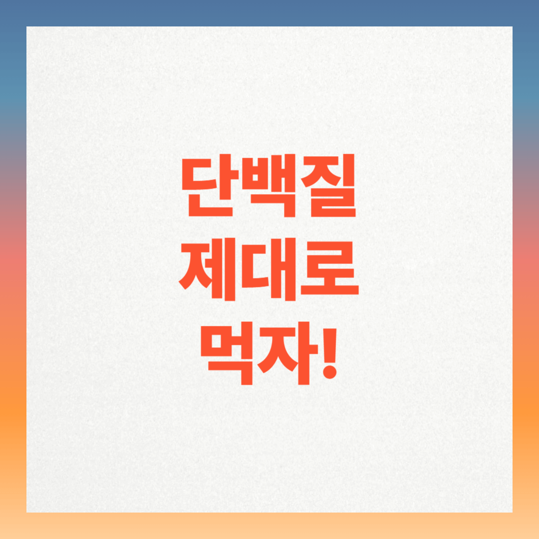 단백질 많은 음식 총정리! 살 안 찌고 근육까지 늘리는 법