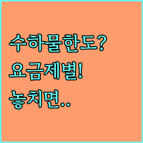 카놋샤크 항공 요금제별 수하물 한도 ..