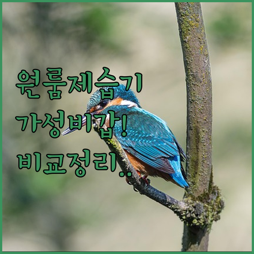 가성비 원룸 제습기 파세코 12L 보..