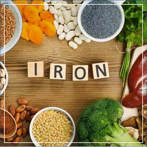 철분 함유 식품