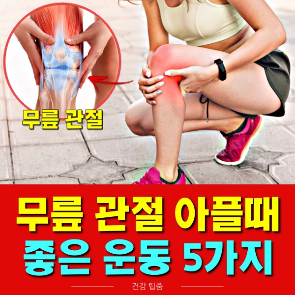 무릎 아플때 하는 운동,무릎 아플때 좋은 운동,팁줌
