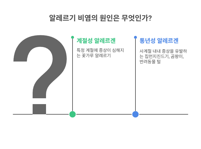 알레르기 비염의 원인