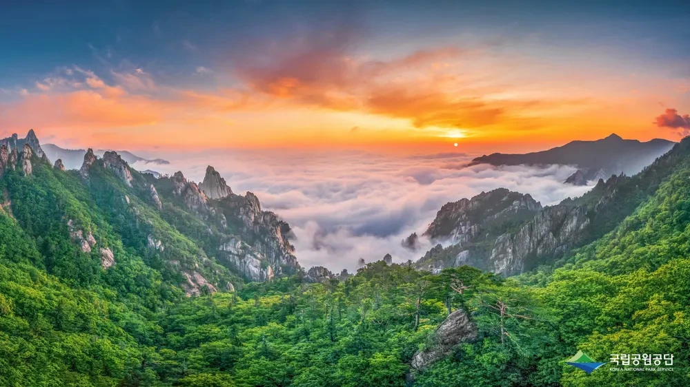 설악산 케이블카 운행시간