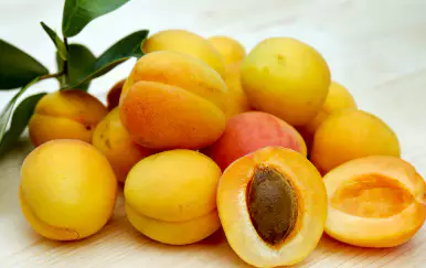 면역력을-높이는-방법-면역력에-좋은-음식-건강