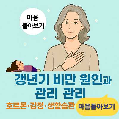 갱년기 비만 원인과 관리|호르몬·감정·생활습관·마음 돌아보기 (2025년 최신)
