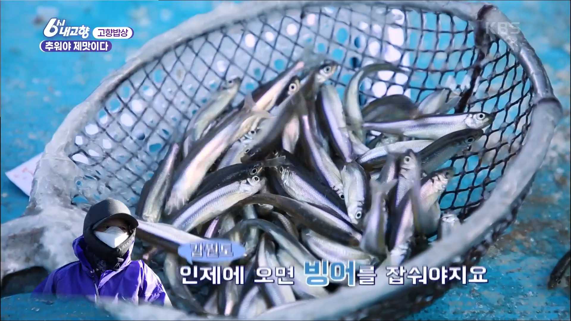 6시내고향 인제 빙어