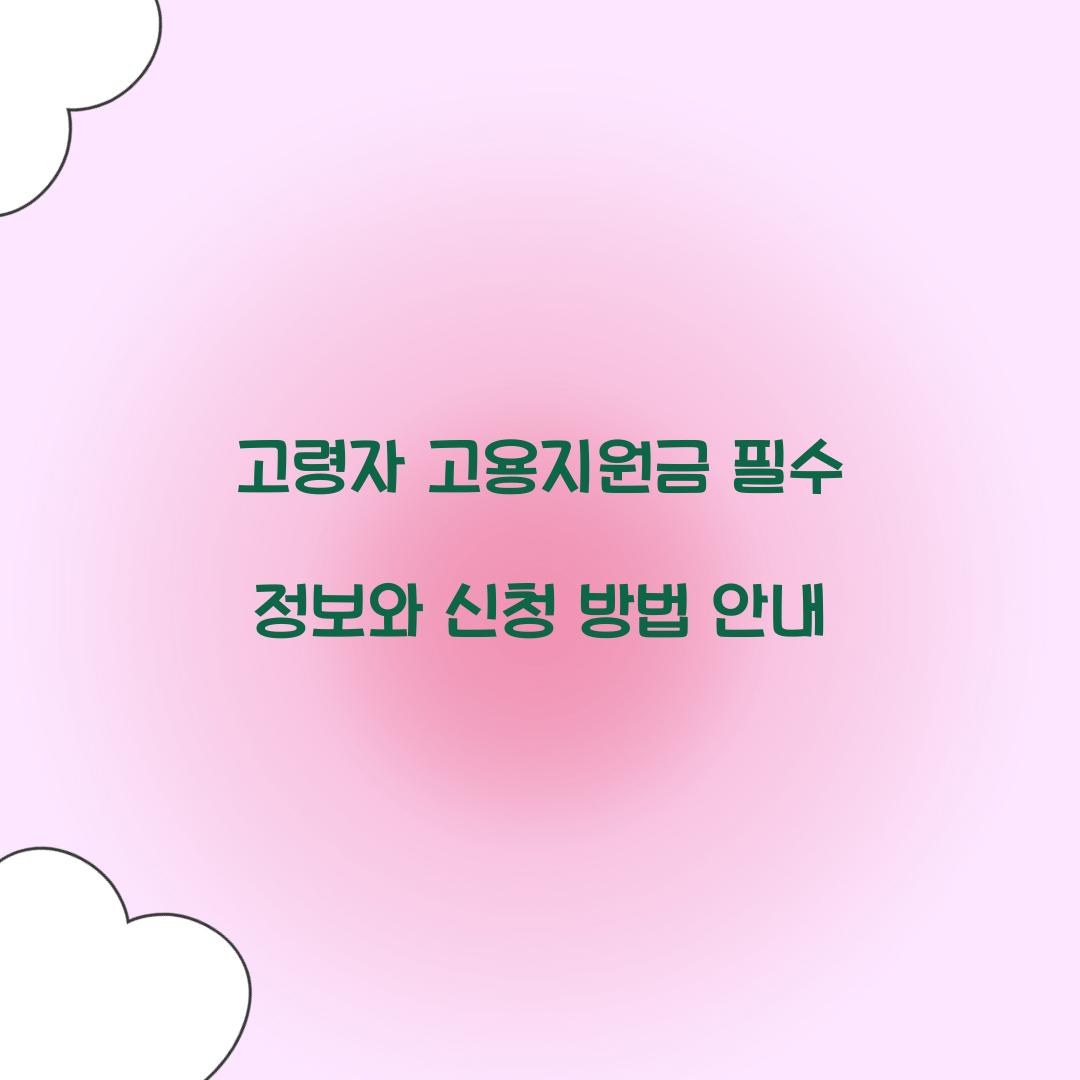 고령자 고용지원금