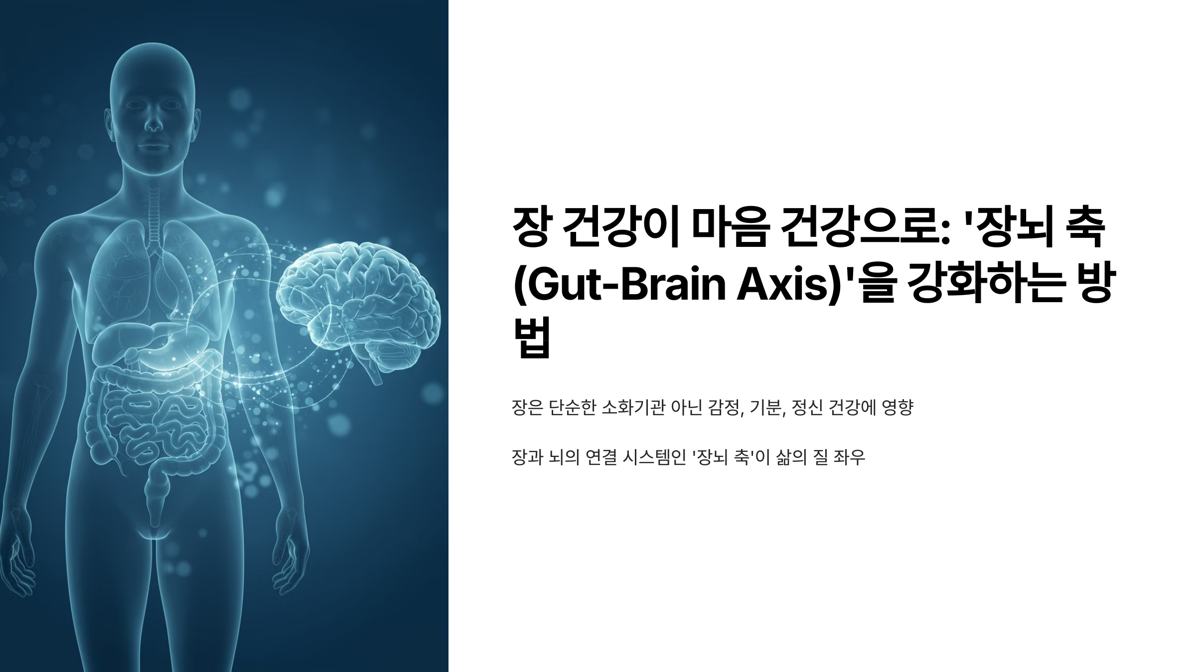 장 건강이 마음 건강으로