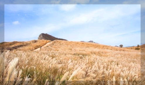 황매산 철쭉축제 인근 맛집, 여행코스 추천 2025 총정리