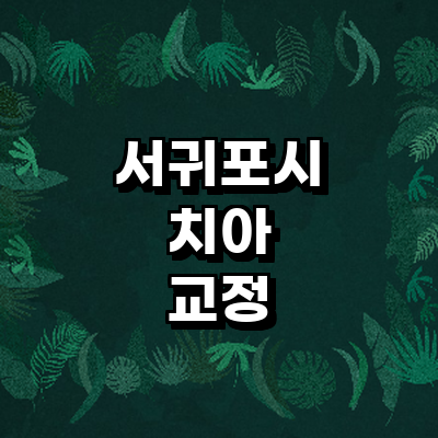 제주 서귀포시 교정 치과