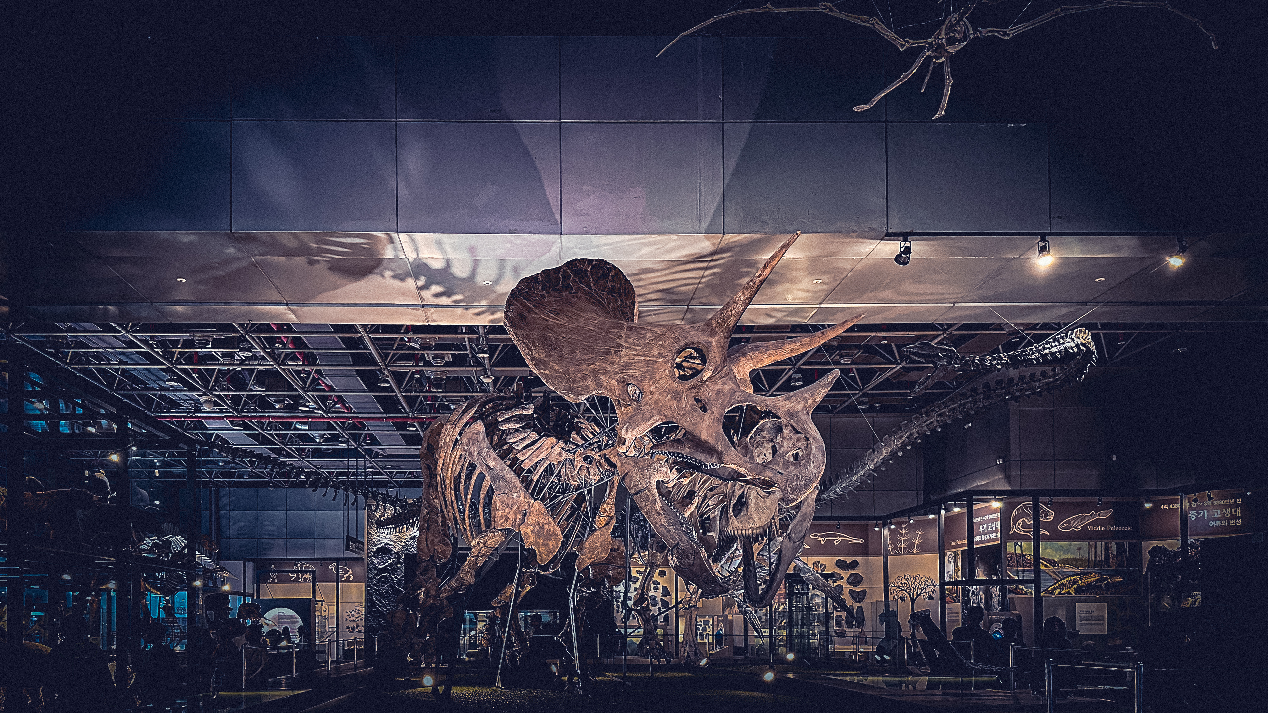 국립 중앙 과학관