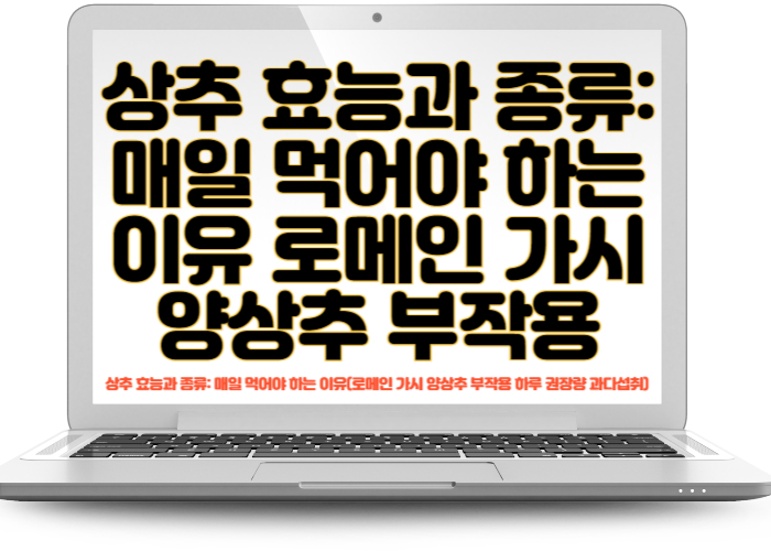 상추 효능과 종류 매일 먹어야 하는 이유(로메인 가시 양상추 부작용 하루 권장량 과다섭취)